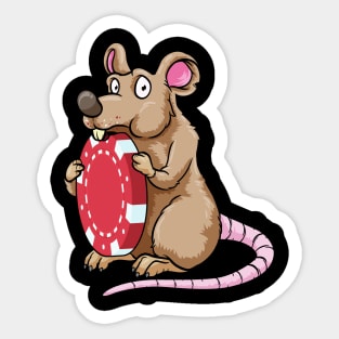 Beautiful rat is nibbling on a poker chip Sticker